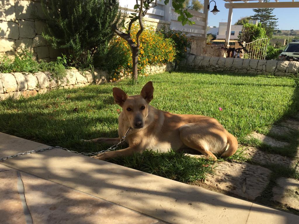 Casa Mia Villa Donnalucata  Dış mekan fotoğraf